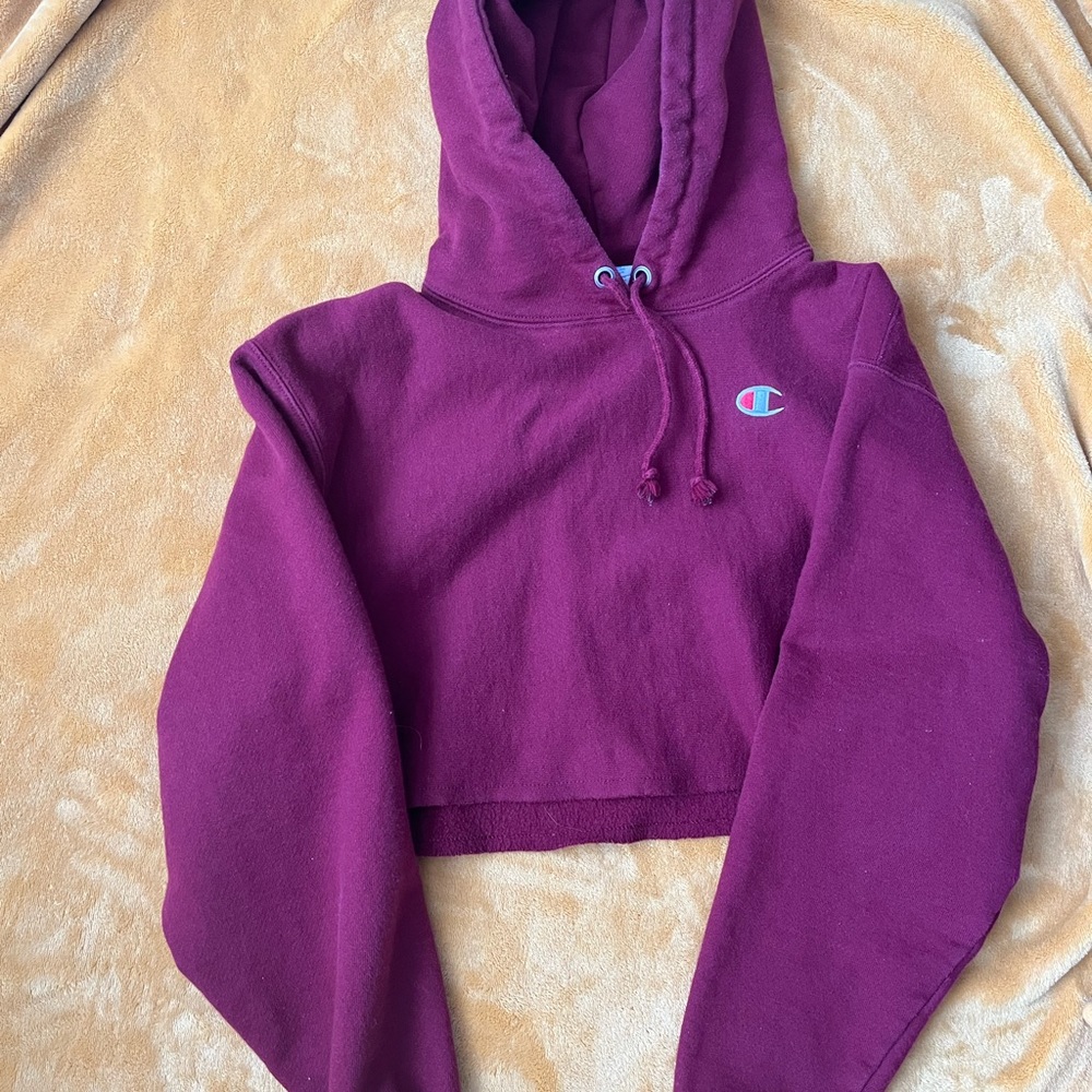 Champion Cropped Hoodie